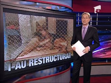 Restructurari la caini in politie