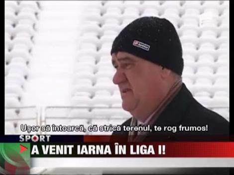 Puscariasii curata gazonul Timisoarei