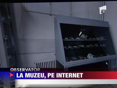 Plimbari virtuale prin muzee