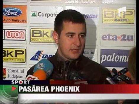 Timisoara, pasarea Phoenix