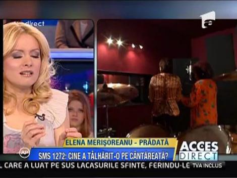 Elena Merisoreanu, pradata