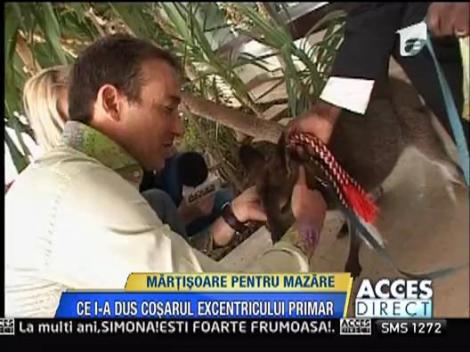 Radu Mazare a fost vizitat de Cosar