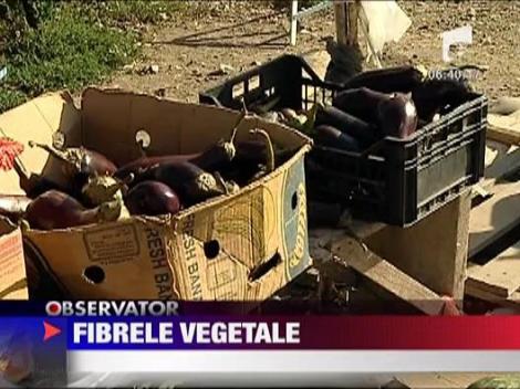 Felicia: Dieta bazata pe fibre vegetale