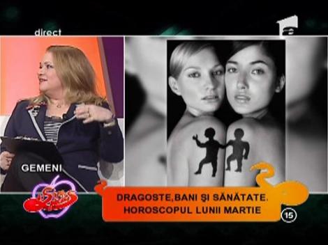 Dragoste, bani, sanatate. Horoscopul lunii martie: Gemeni