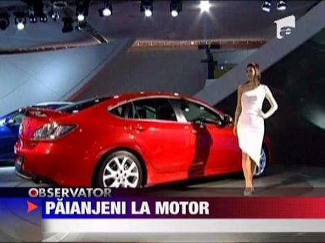 Paianjenii au periclitat siguranta masinilor Mazda