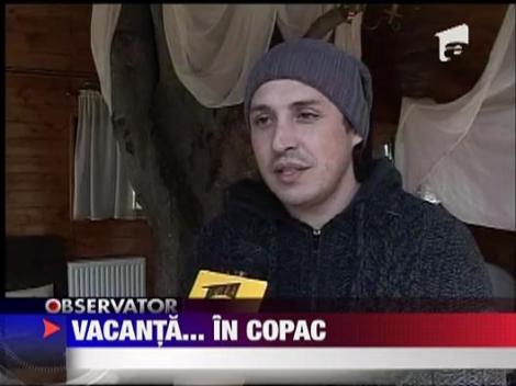 Un brasovean si-a facut casuta in copac