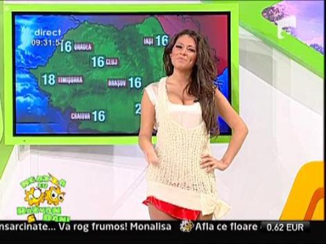 Super banc cu o vrabiuta