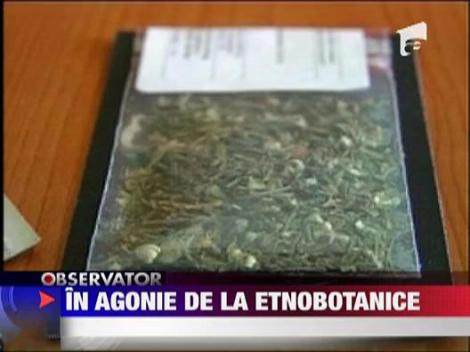In stare grava dupa ce a consumat etnobotanice
