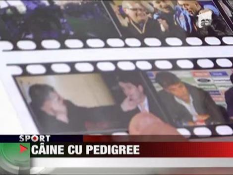 Andone, caine cu pedigree