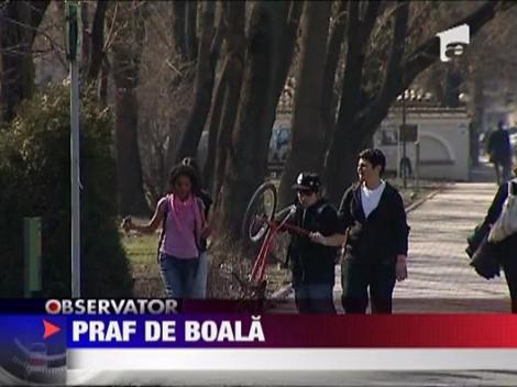 Primavara vine cu un val imens de praf