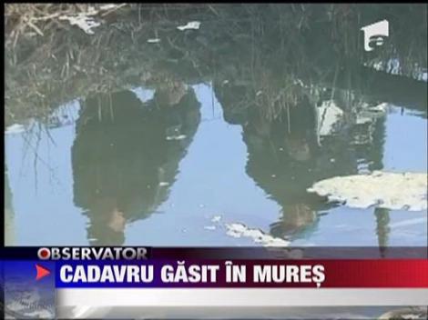 Cadavru gasit in Mures