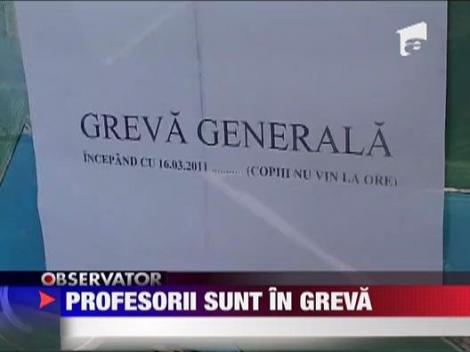 Profesorii din Suceava au intrat in greva