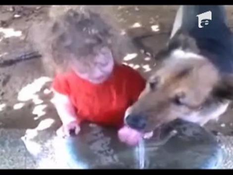 Prietenie pe muchie de cutit