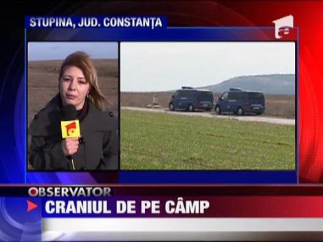 Descoperire macabra pe un camp din Constanta