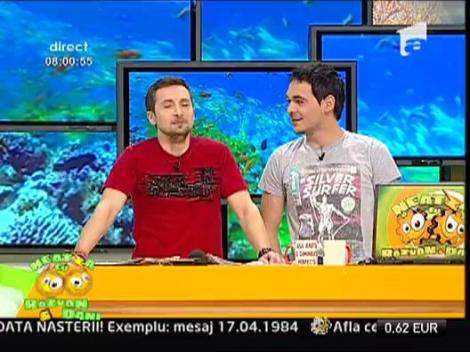 Muzica matinala! Trimiteti-ne propunerile voastre!