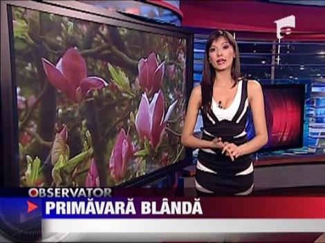 Primavara blanda