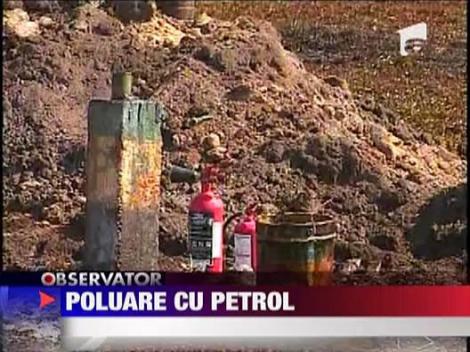 UPDATE / Hotii de titei au facut prapad in Constanta