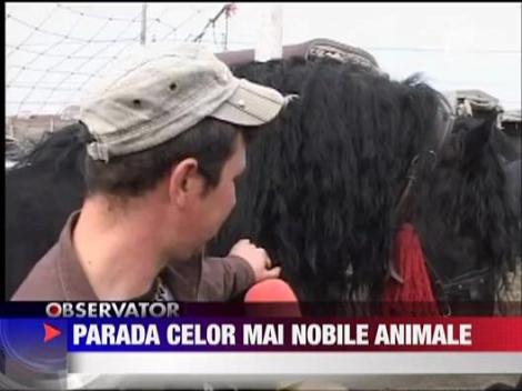 Parada celor mai nobile animale
