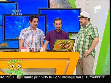 Canapeaua in forma de porc