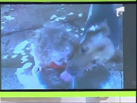 Imagini amuzante "culese" de pe internet