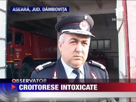 Croitorese intoxicate cu fum