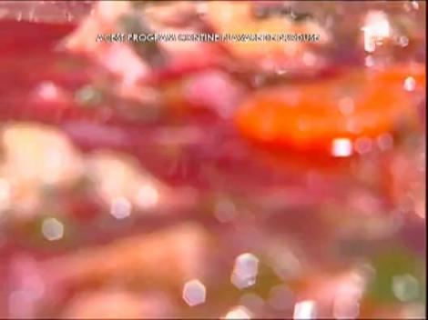 Vladut a pregatit Ciorba de loboda