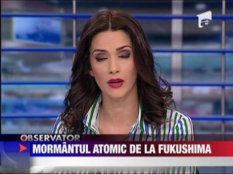Japonezii se pregatesc sa ingroape cele 4 reactoare avariate
