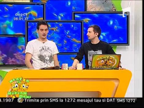 Comportamentul in zilele de vineri