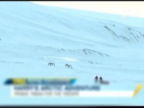 Dezvaluiri inainte de nunta secolului