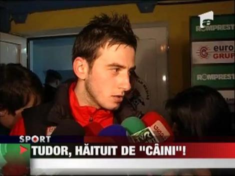 Tudor, haituit de "caini"!