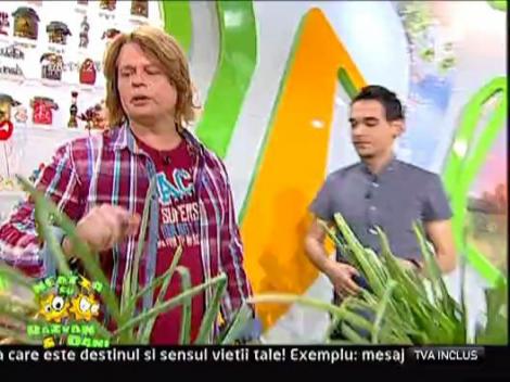 Vladut a pregatit Stufat de fasole boabe