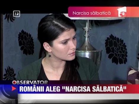 Romanii aleg "Narcisa Salbatica"