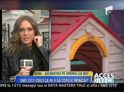 Irinel, executat silit pe cale amiabila?