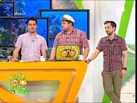 Neatza te trimite la meciul de rugby Dinamo - Farul