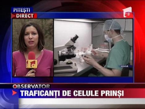 Traficanti de celule stem arestati