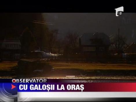 Satele declarate oras in 2004