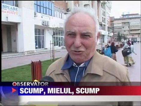 Mielul ar putea deveni un lux de Paste