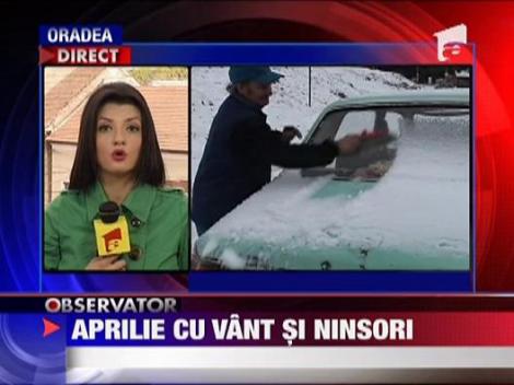 Aprilie cu vant si ninsori