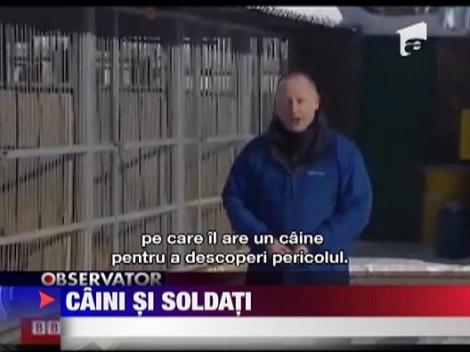 Cainii din armata rusa urmeaza comenzile primite prin statie