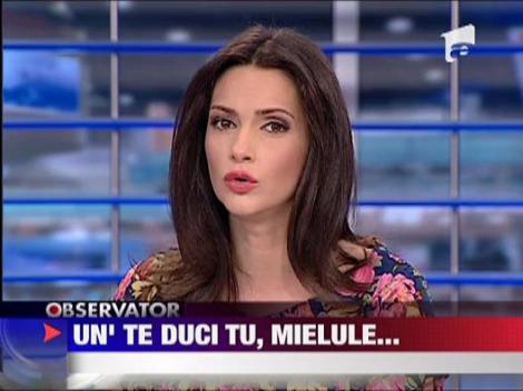 Miei grasi doar pentru export