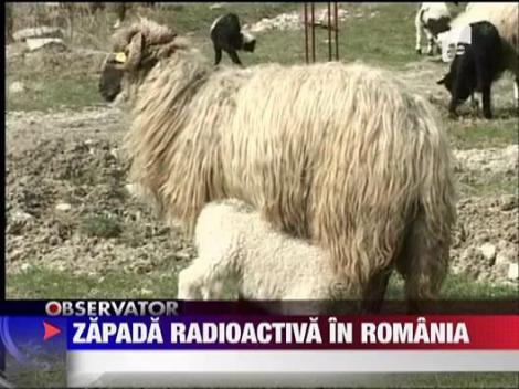 UPDATE / Iod radioactiv in zapada de pe muntele Ceahlau