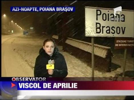 Viscol in Poiana Brasov
