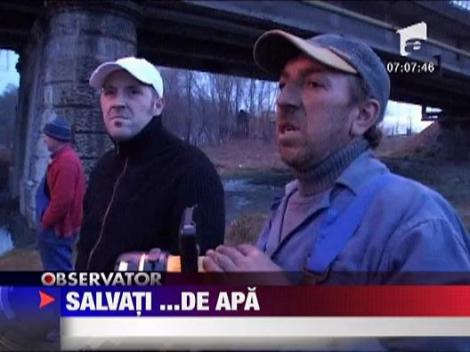 Cal salvat dintr-o canalizare plina cu apa