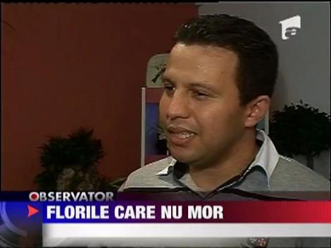 Florile care nu mor
