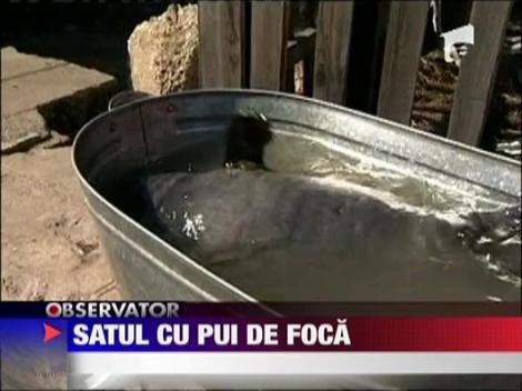 Un pui de foca, mascota unui sat siberian