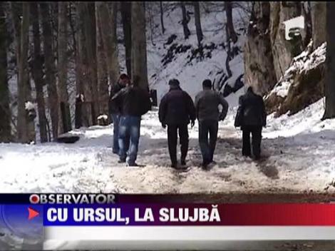 Un urs a "vizitat" Schitul Sfanta Ana