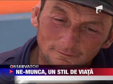 Forta de munca de la sat