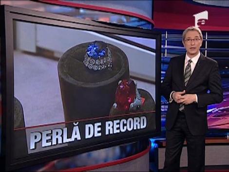 Perla uriasa pentru seici