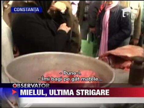 Aglomeratie la carnea de miel