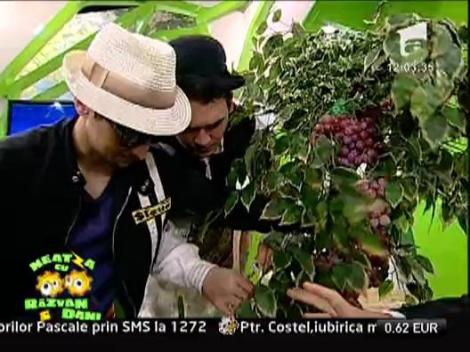 Radu ILLE a venit la Neatza